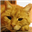 Логотип USBCat