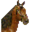 Логотип KnightHop