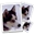 Логотип SmillaEnlarger