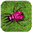 Логотип Critter Zapper