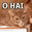 Логотип Lolcat Builder
