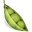Логотип Fresh
